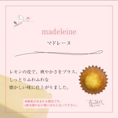 画像12: パウンドケーキギフトセット　10種10個　箱入り (12)